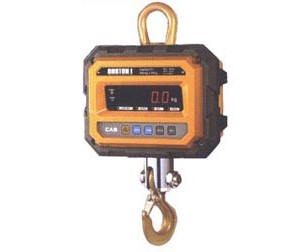 2000kg-can-treo-castoni-2tha.jpeg