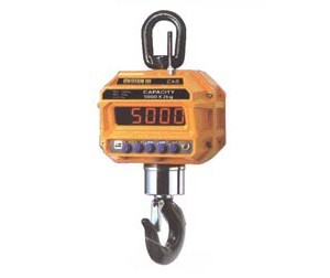 2000kg-can-treo-castoniii-2thd.jpeg