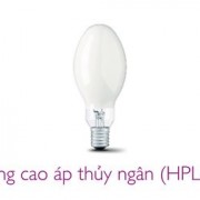 250w-bong-cao-ap-thuy-ngan-hpl-n-dang-bau-e40.jpeg