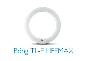 32w-bong-huynh-quang-vong-tle-anh-sang-trang.jpeg 32w-bong-huynh-quang-vong-tle-anh-sang-trang.jpeg