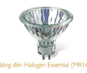 35w-bong-haloge-essential-philips-gu53-36d-co-kieng-chup.jpeg