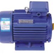750w220v-motor-dien-asaki-as-604.jpeg
