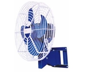 800mm-quat-thoi-treo-tuong-1100w-caf-13-8031.jpeg