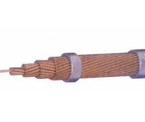 cap-dong-tran-xoan-100-mm2-192-60.jpeg