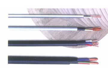 day-3-pha-trung-tinh-mem-tron-vvcm-3×2-51×1-5-mm2.jpeg day-3-pha-trung-tinh-mem-tron-vvcm-3×2-51×1-5-mm2.jpeg