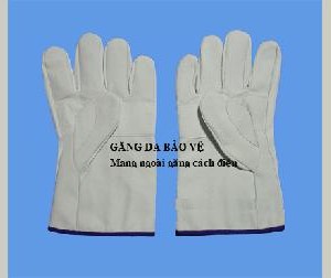gang-da-bao-ve-g530-1.jpeg